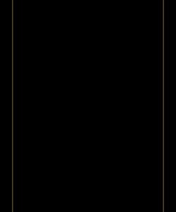 plantilla negra elegante modelo 2 borde dorado 1